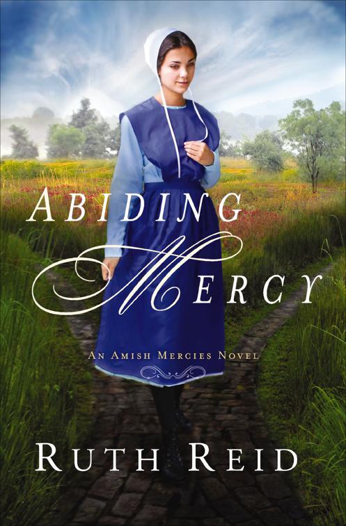 Abiding Mercy, The Amish Mercies Novels