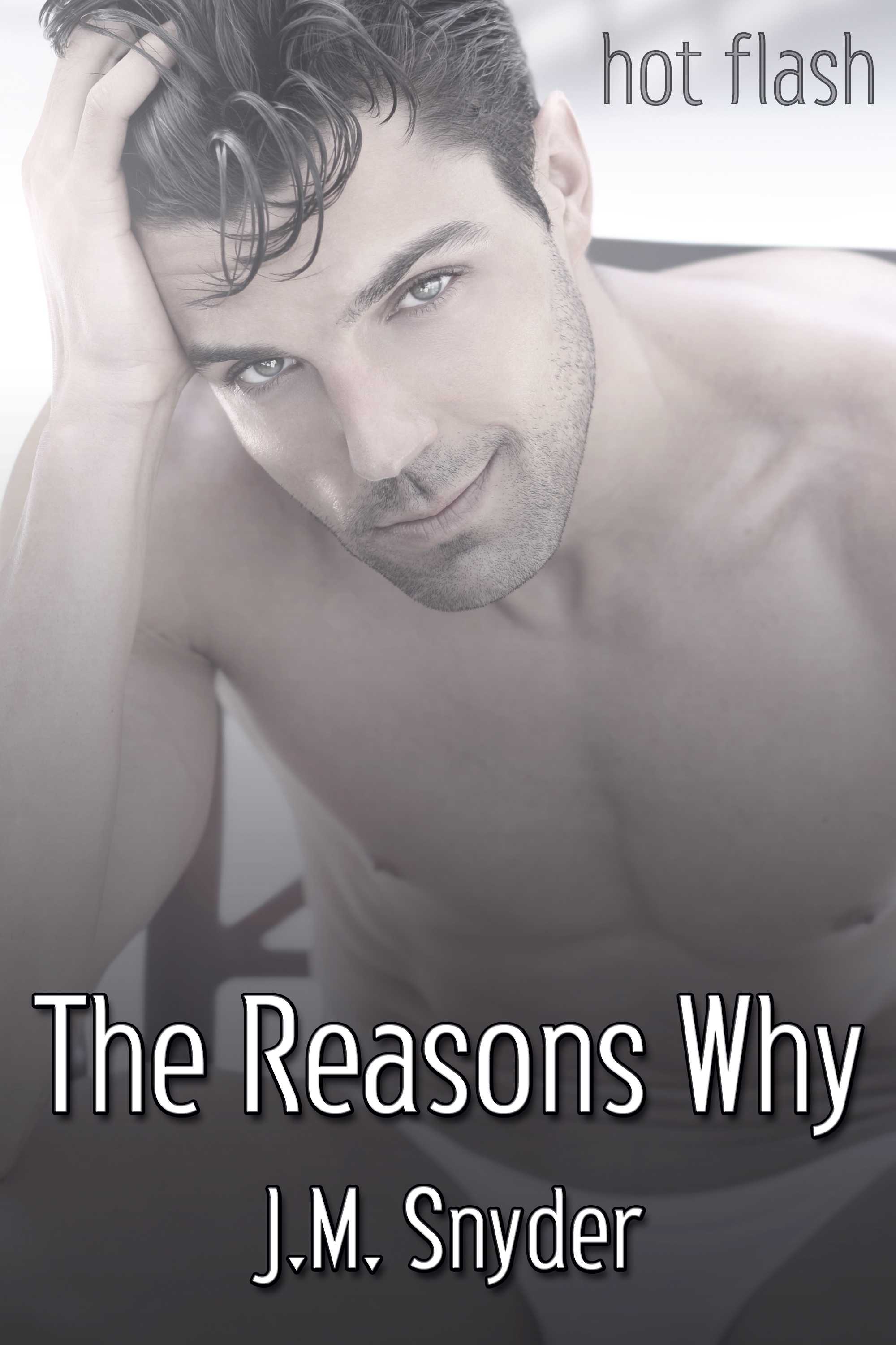 This image is the cover for the book The Reasons Why, Hot Flash