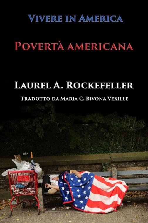 Povertà americana, Vivere in America