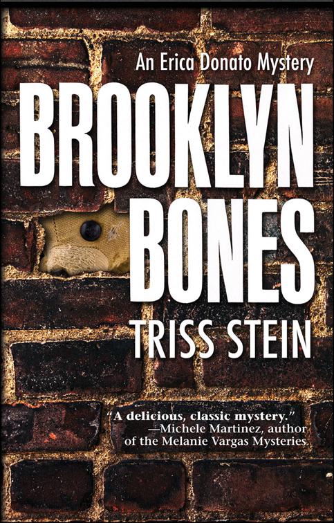 Brooklyn Bones, Erica Donato Mysteries