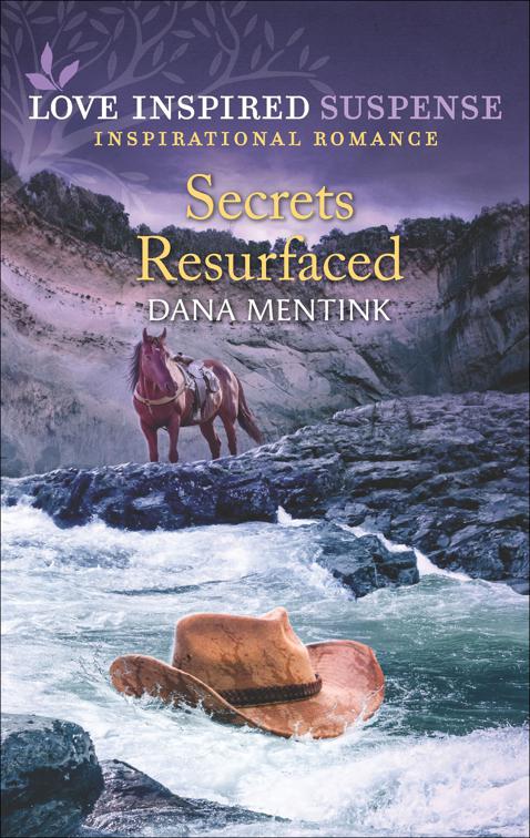 Secrets Resurfaced, Roughwater Ranch Cowboys