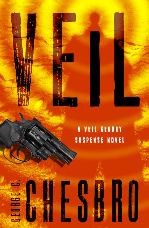 Veil, The Veil Kendry Suspense Novels