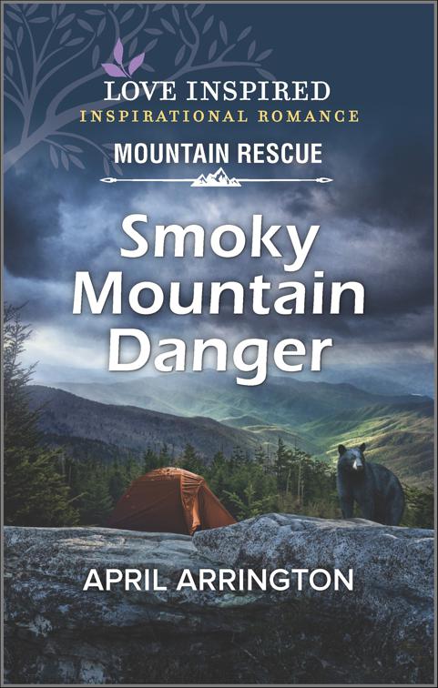 Smoky Mountain Danger, Mountain Rescue