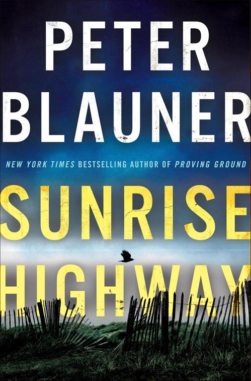 Sunrise Highway, Lourdes Robles Novels