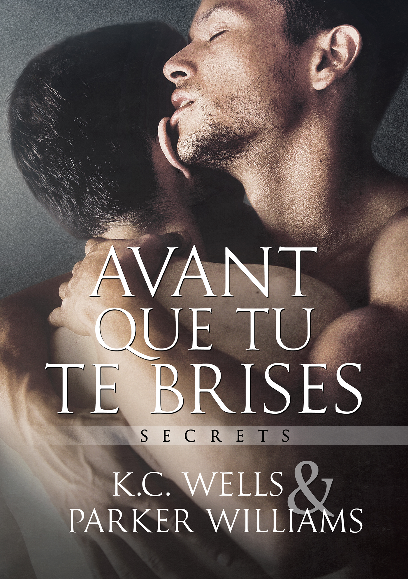 This image is the cover for the book Avant que tu te brises, Secrets (Français)