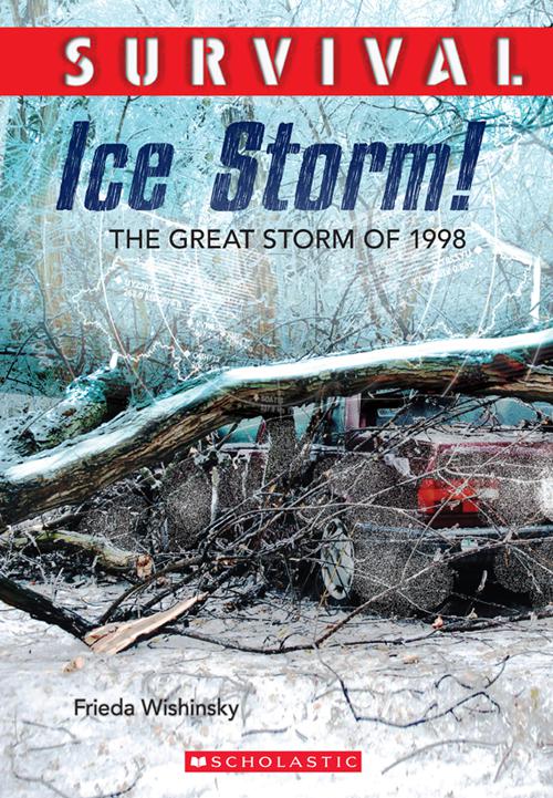 This image is the cover for the book Survival: Ice Storm!, Survival