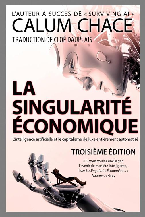 La Singularité Économique