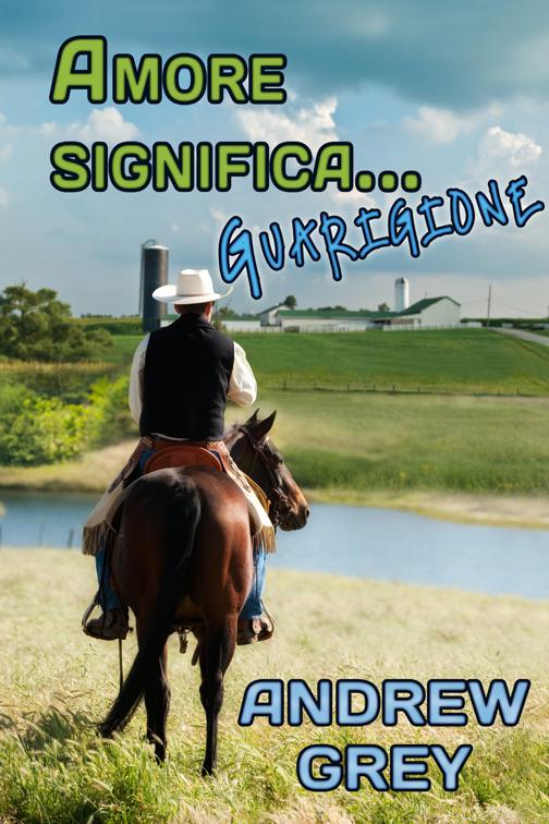 Amore significa… guarigione, Serie Amore Significa…