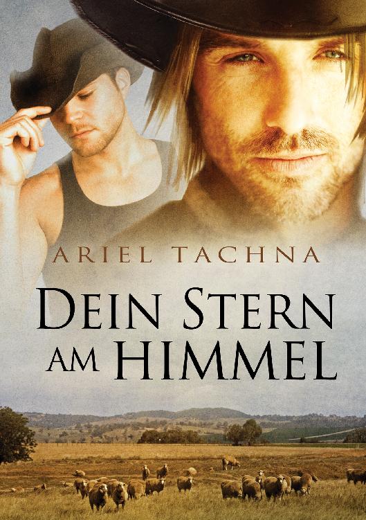 This image is the cover for the book Dein Stern am Himmel, Lang Downs (Deutsch)