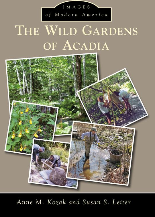 This image is the cover for the book Wild Gardens of Acadia, Images of Modern America