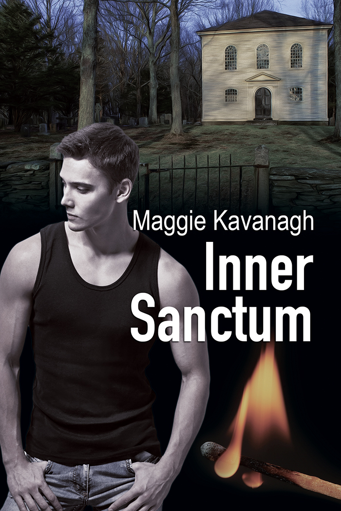 This image is the cover for the book Inner Sanctum, The Stonebridge Mysteries