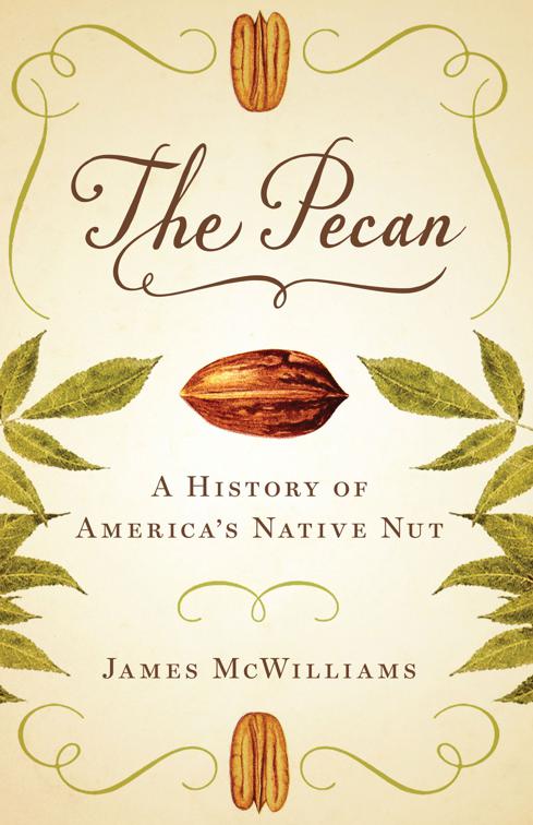 Pecan