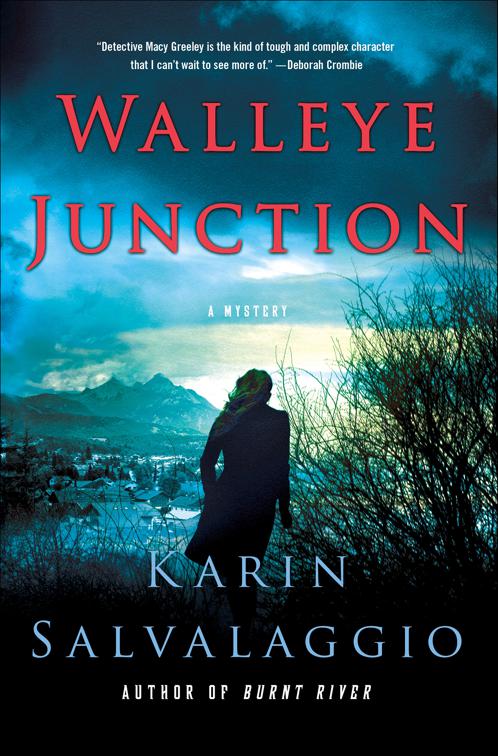 Walleye Junction, Macy Greeley Mysteries