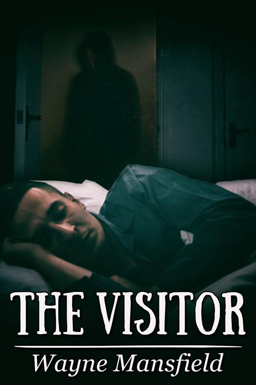 The Visitor