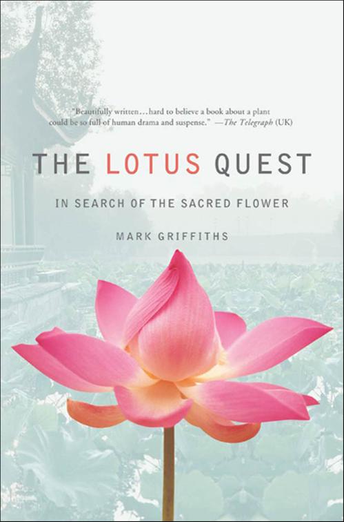 Lotus Quest