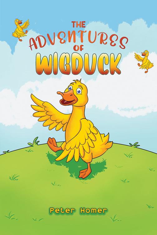 The Adventures of Wigduck