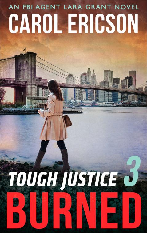 Tough Justice 3: Burned, The FBI Agent Lara Grant Novels