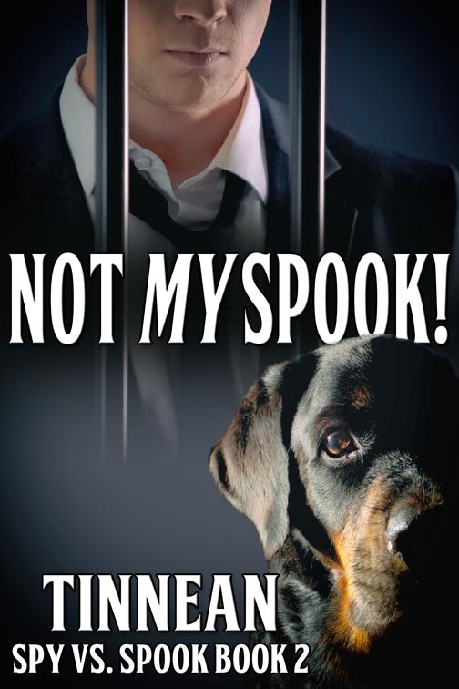 Not My Spook, Spy vs. Spook