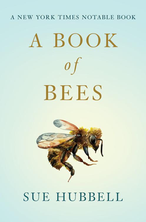 Book of Bees