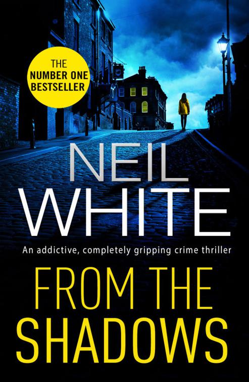 From The Shadows, Dan Grant and Jayne Brett Series