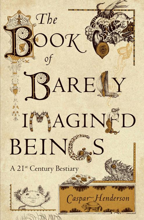Book of Barely Imagined Beings