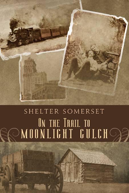 This image is the cover for the book On the Trail to Moonlight Gulch