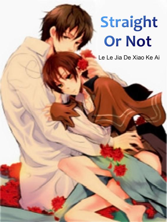 Straight Or Not, Volume 2