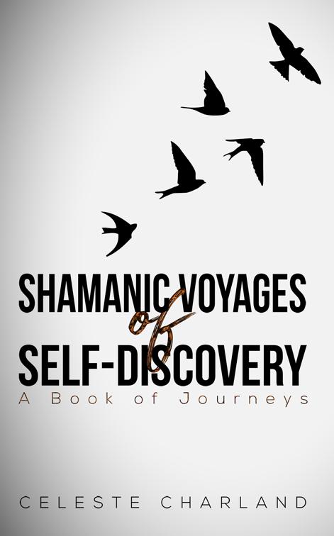 This image is the cover for the book Shamanic Voyages of Self-Discovery