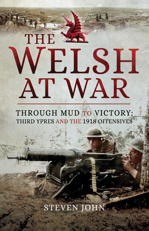 Welsh at War: Through Mud to Victory
