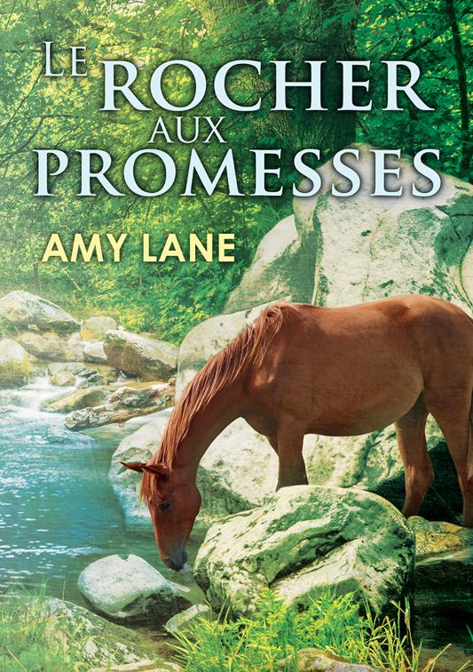 rocher aux promesses, Promesses