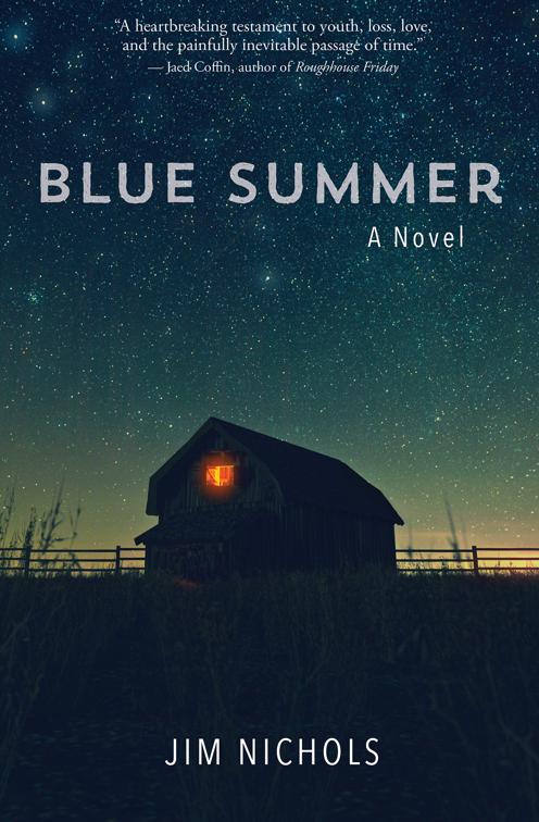This image is the cover for the book Blue Summer
