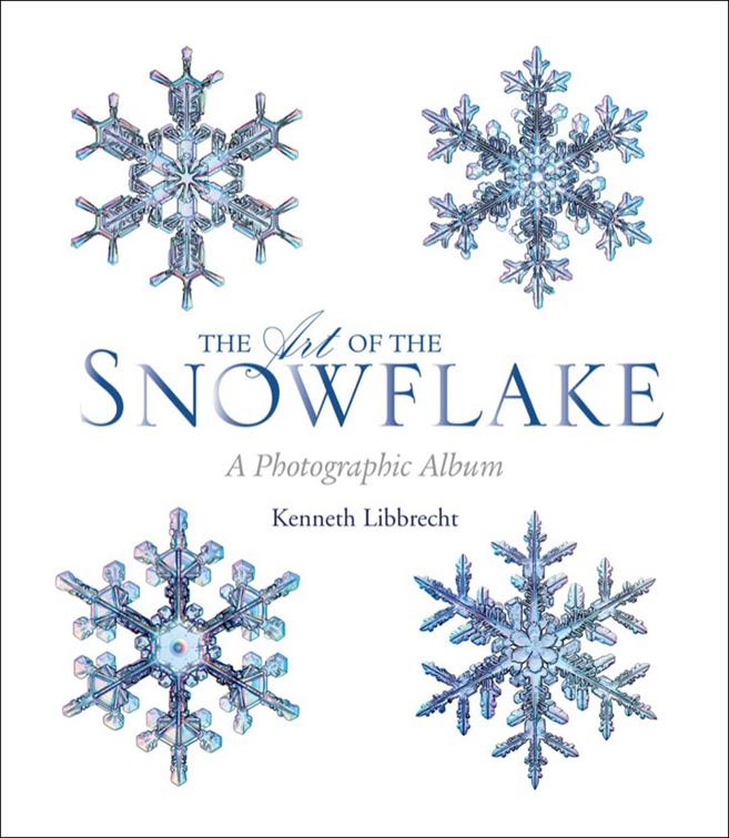 Art of the Snowflake
