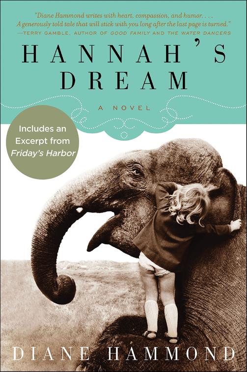 Hannah&#x27;s Dream