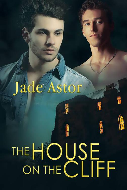This image is the cover for the book The House on the Cliff