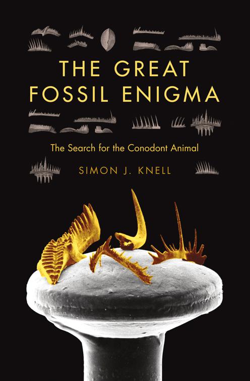 Great Fossil Enigma, Life of the Past