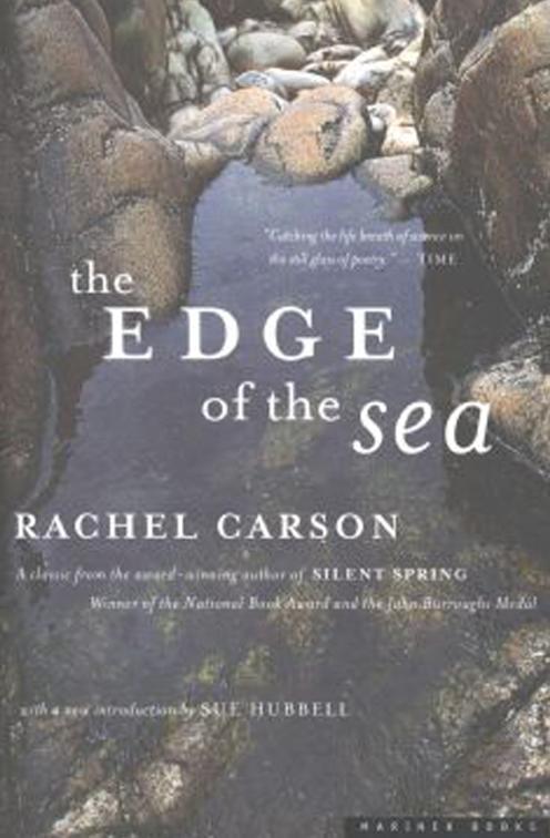 Edge of the Sea
