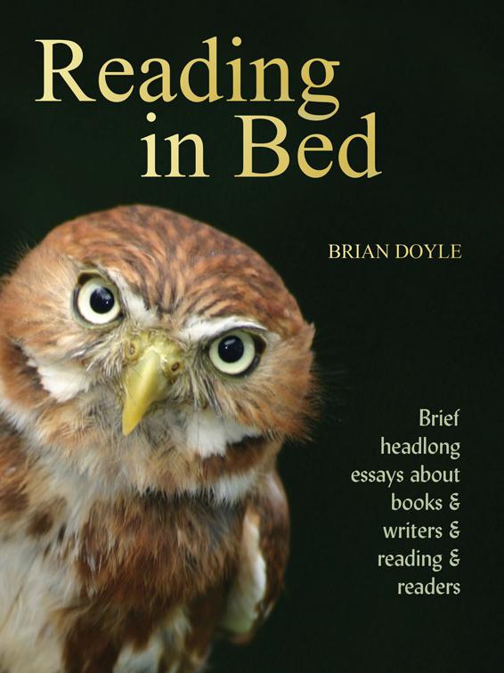 This image is the cover for the book Reading In Bed