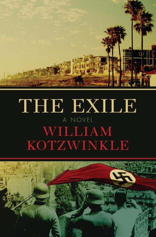 This image is the cover for the book Exile