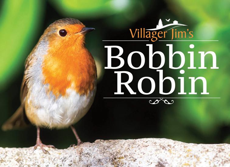 Villager Jim&#x27;s Bobbin Robin