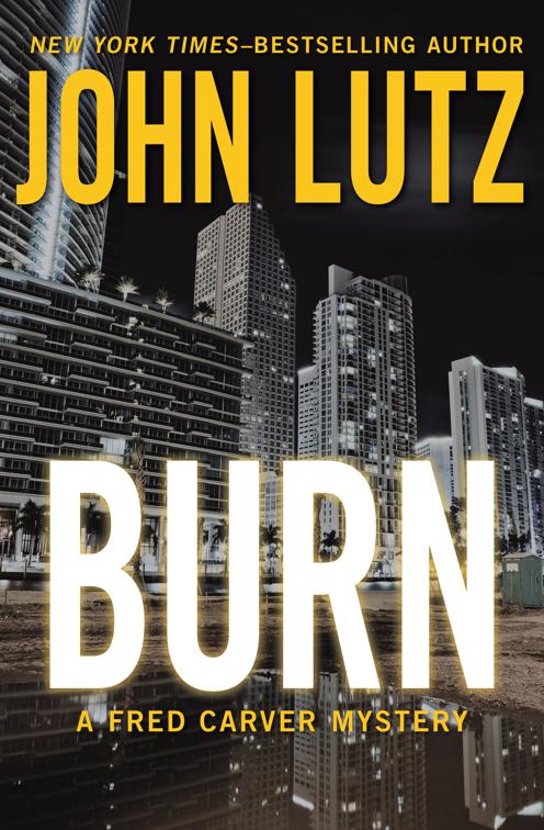 Burn, The Fred Carver Mysteries