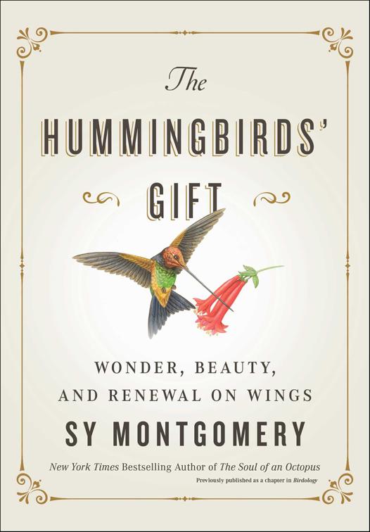 Hummingbirds&#x27; Gift