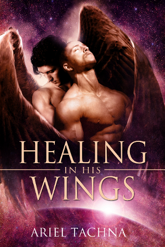 This image is the cover for the book Healing in His Wings, Hot Cargo