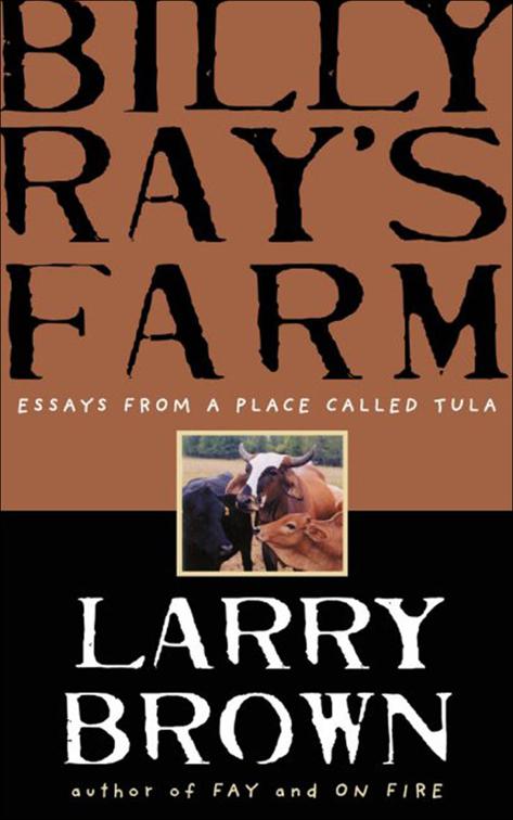 Billy Ray&#x27;s Farm