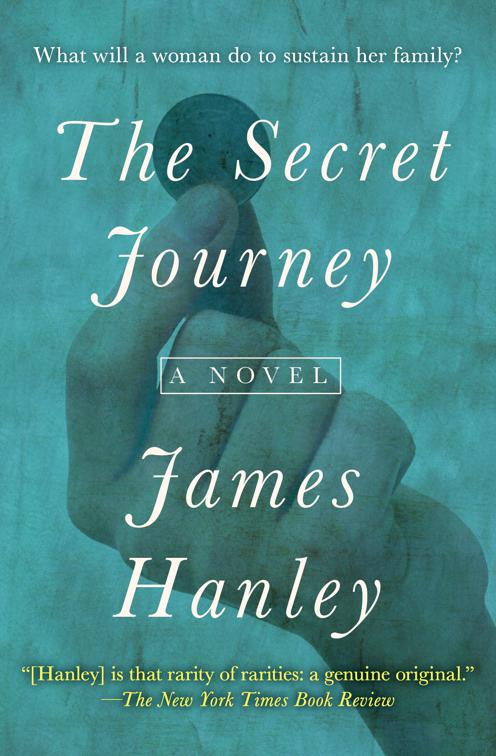 Secret Journey, The Furys Saga