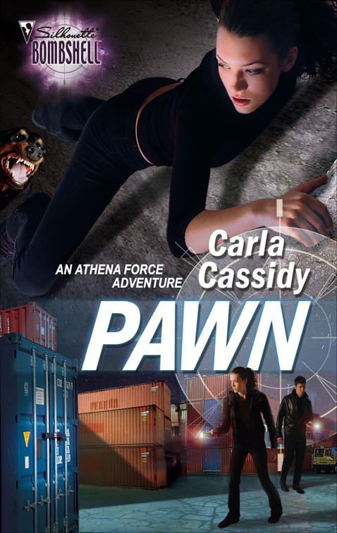 Pawn, The Athena Force Adventures