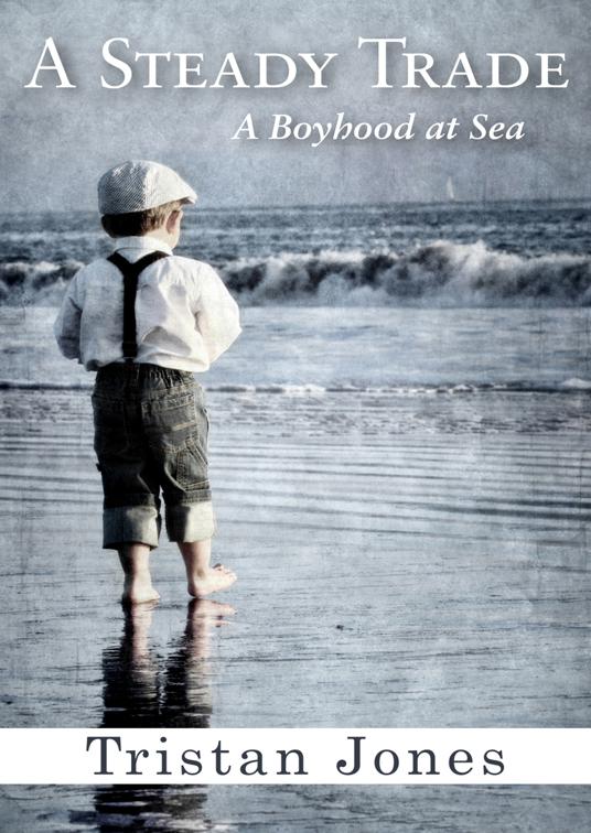 This image is the cover for the book Steady Trade