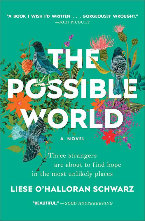 Possible World