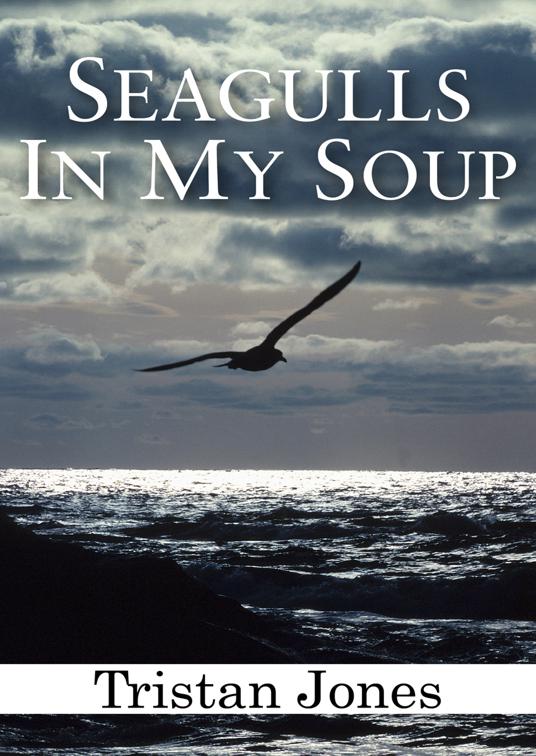This image is the cover for the book Seagulls in My Soup