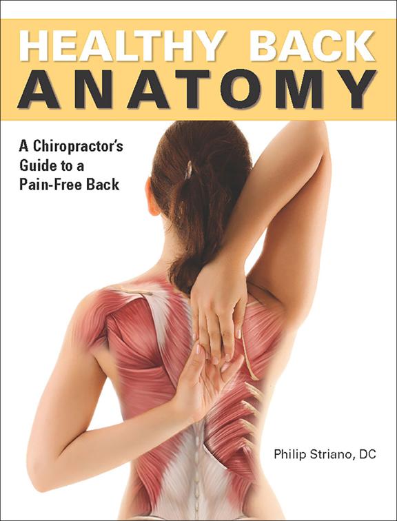 Healthy Back Anatomy, Anatomies of