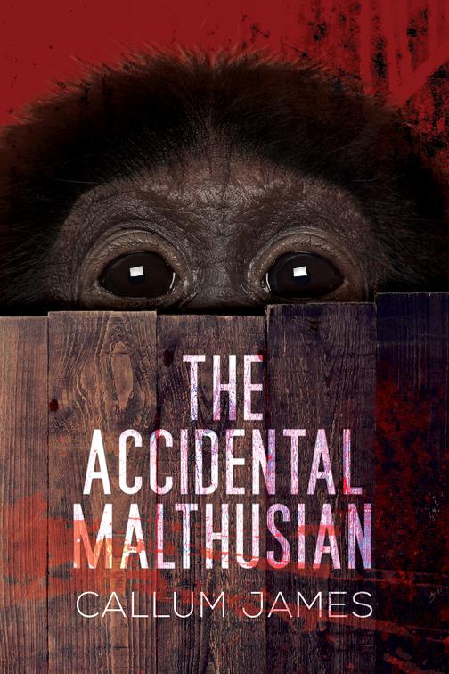 The Accidental Malthusian